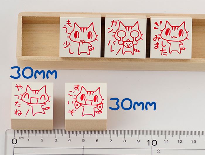 Q3-05 ごほうび評価印5個セット 【やったね! すごいぞ もう少し ガンバレ みました】