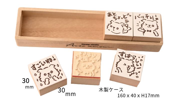 Q8-01 評価印5個セット 【すごいね! 見なおしてみよう すばらしい! あとちょっと バッチリ!】