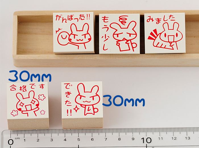 Q3-10 ごほうび評価印5個セット 【合格です できた!! がんばった!! もう少し みました】