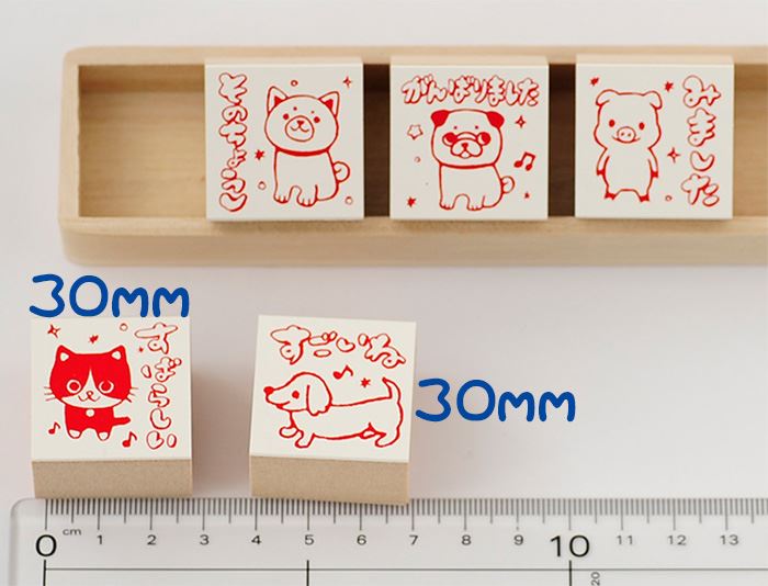 Q3-16 ごほうび評価印5個セット 【すばらしい すごいね そのちょうし がんばりました みました】
